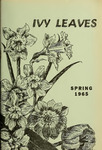 Ivy Leaves 3 by Ivy Leaves Editorial Staff