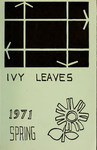 Ivy Leaves 15